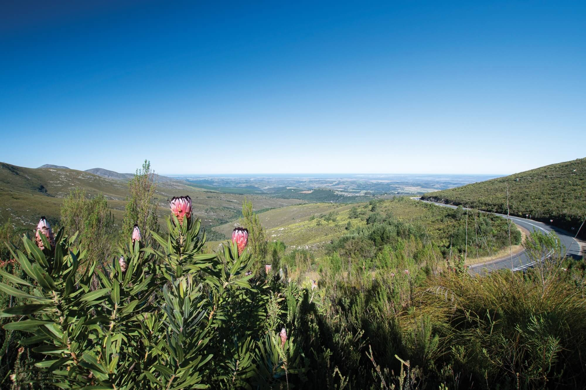 Garden Route